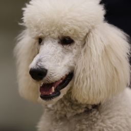 photograph by PeterW